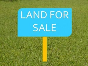 cheap land for sale in palmiste