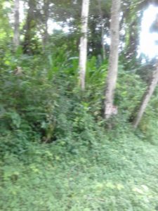 land for sale in central couva