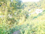 land for sale in trinidad and tobago