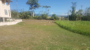 freehold land for sale