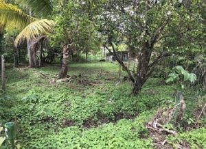 trinidad land for sale | Houses For Sale Trinidad and Tobago