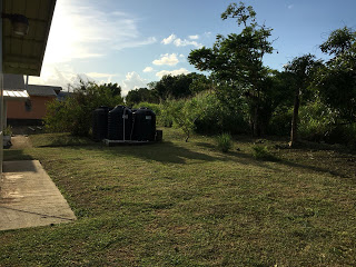 chaguanas home for sale back yard